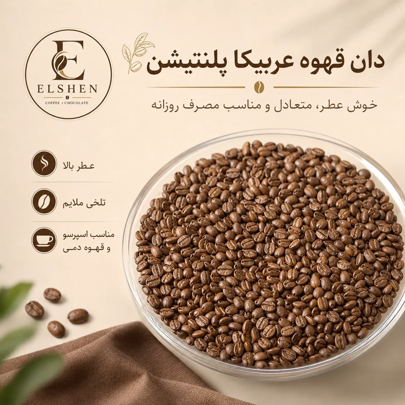 دان قهوه 100 عربیکا پلنتیشن Aمدیوم رست